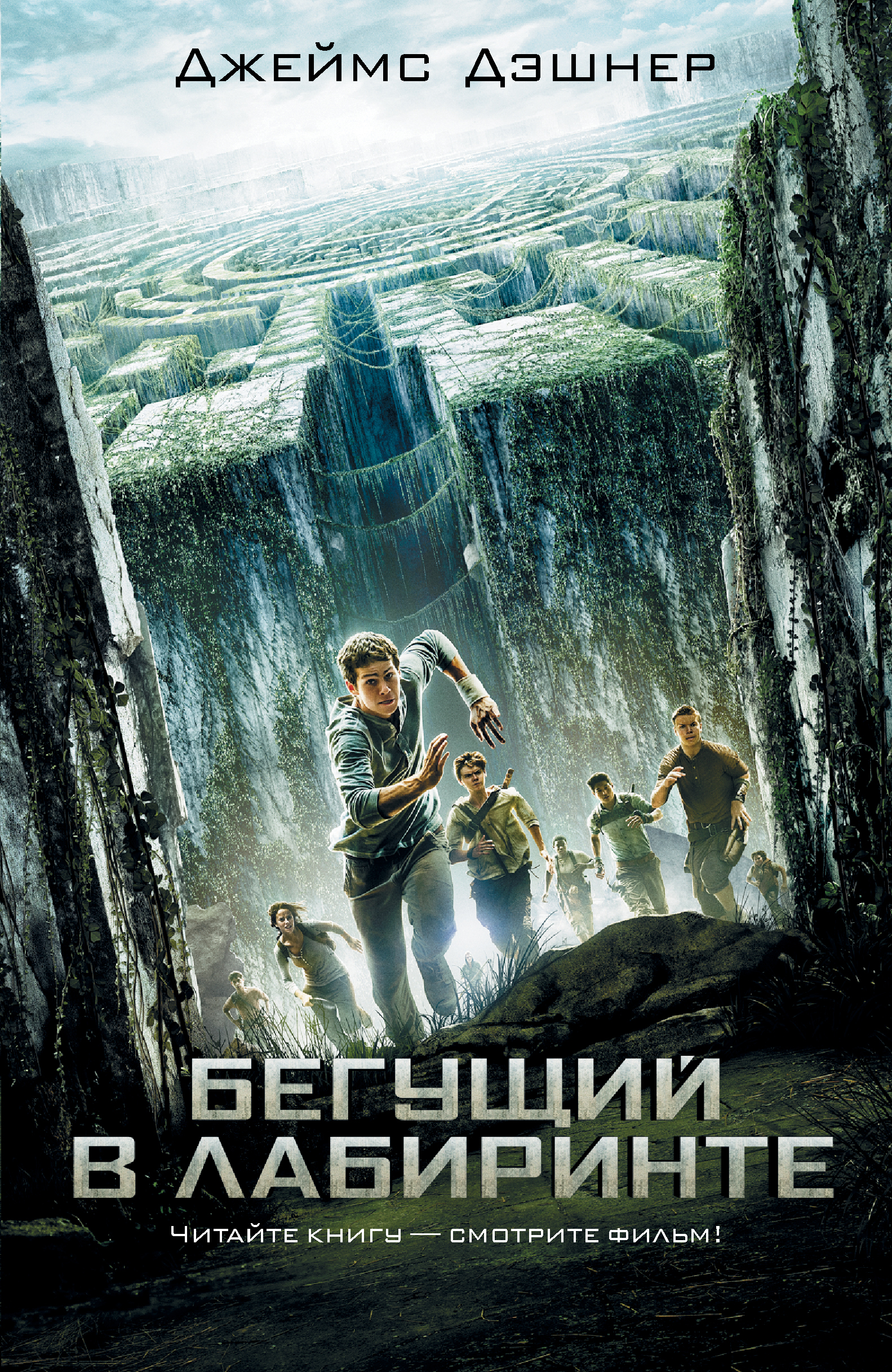 Бегущий в Лабиринте книга