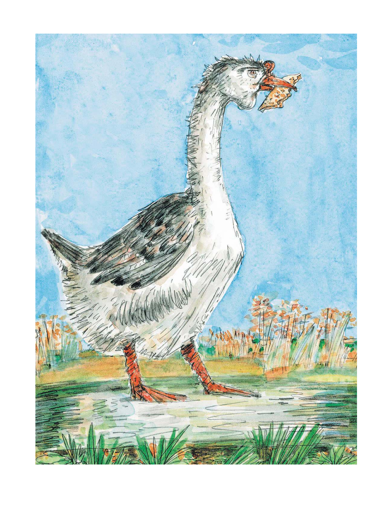 Зощенко Михаил Михайлович Рассказы - страница 4