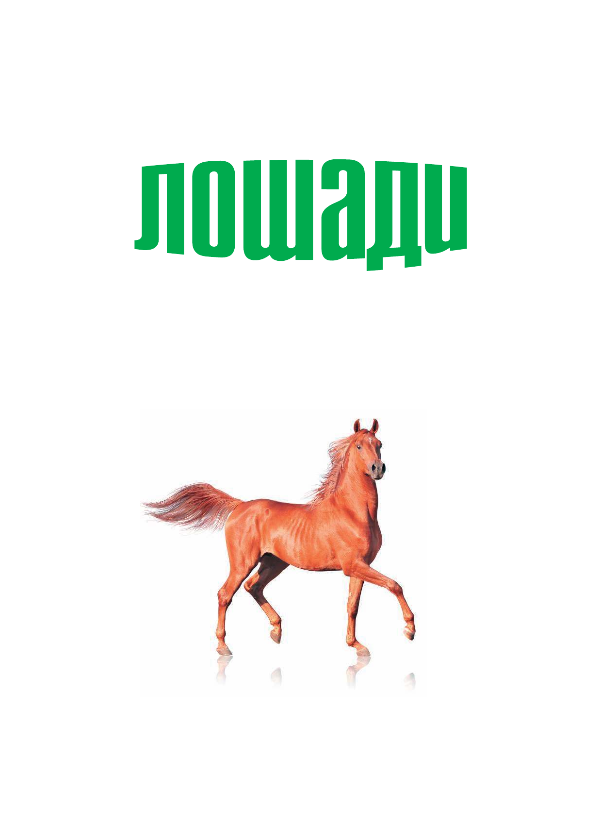 <не указано> Лошади - страница 4