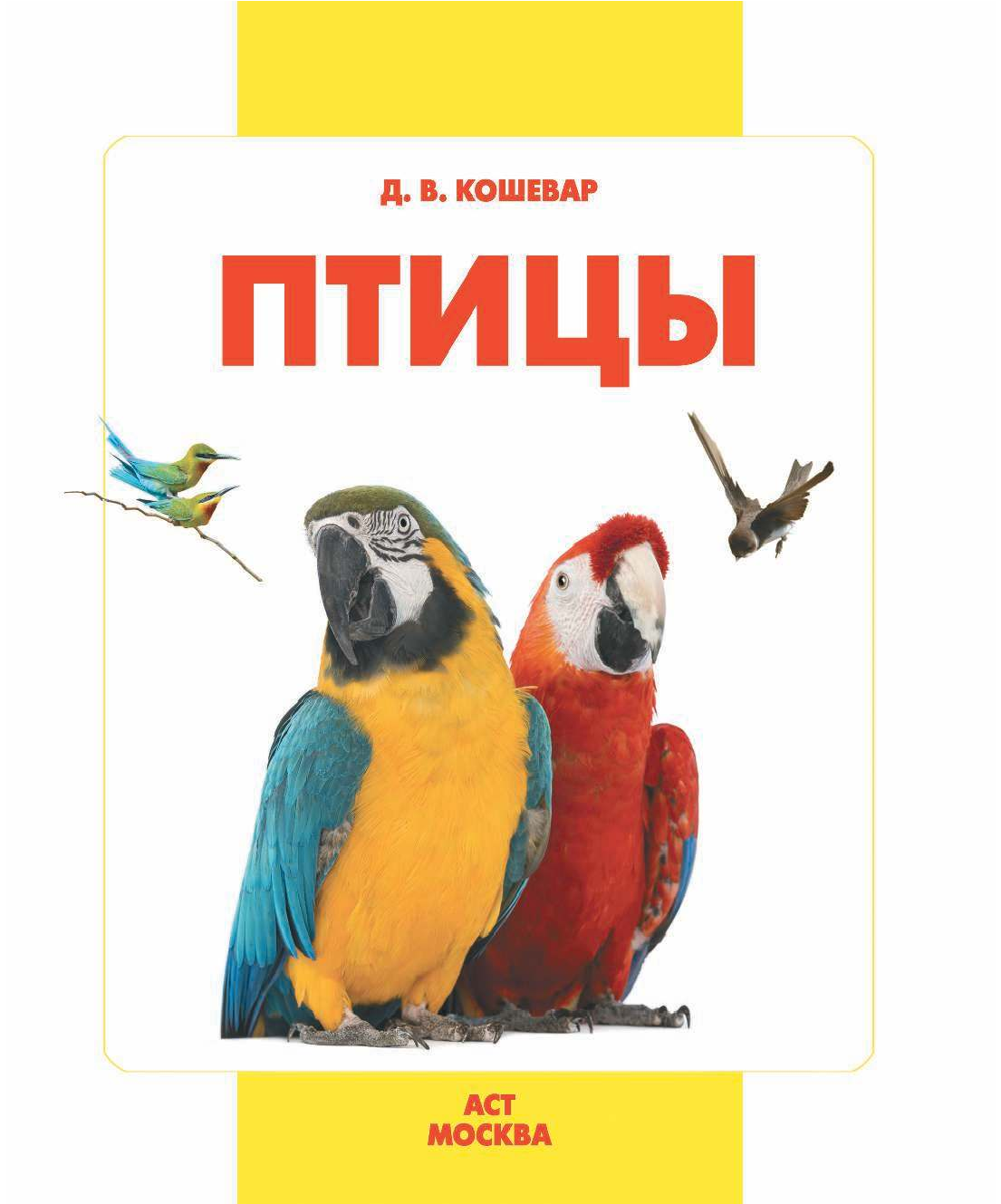  Птицы - страница 2