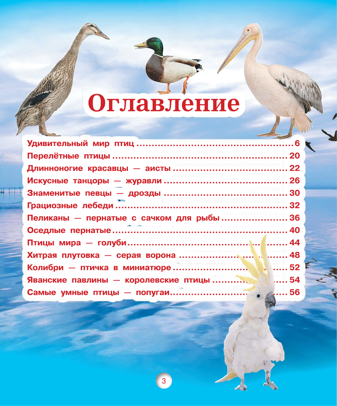  Птицы - страница 4