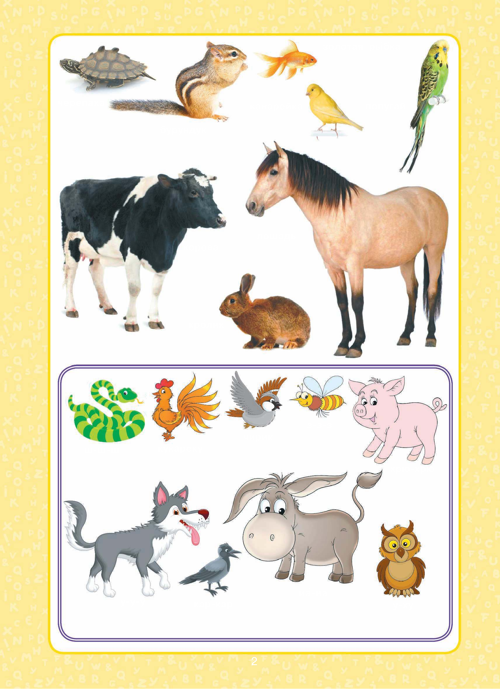  Первая книга малыша - страница 3