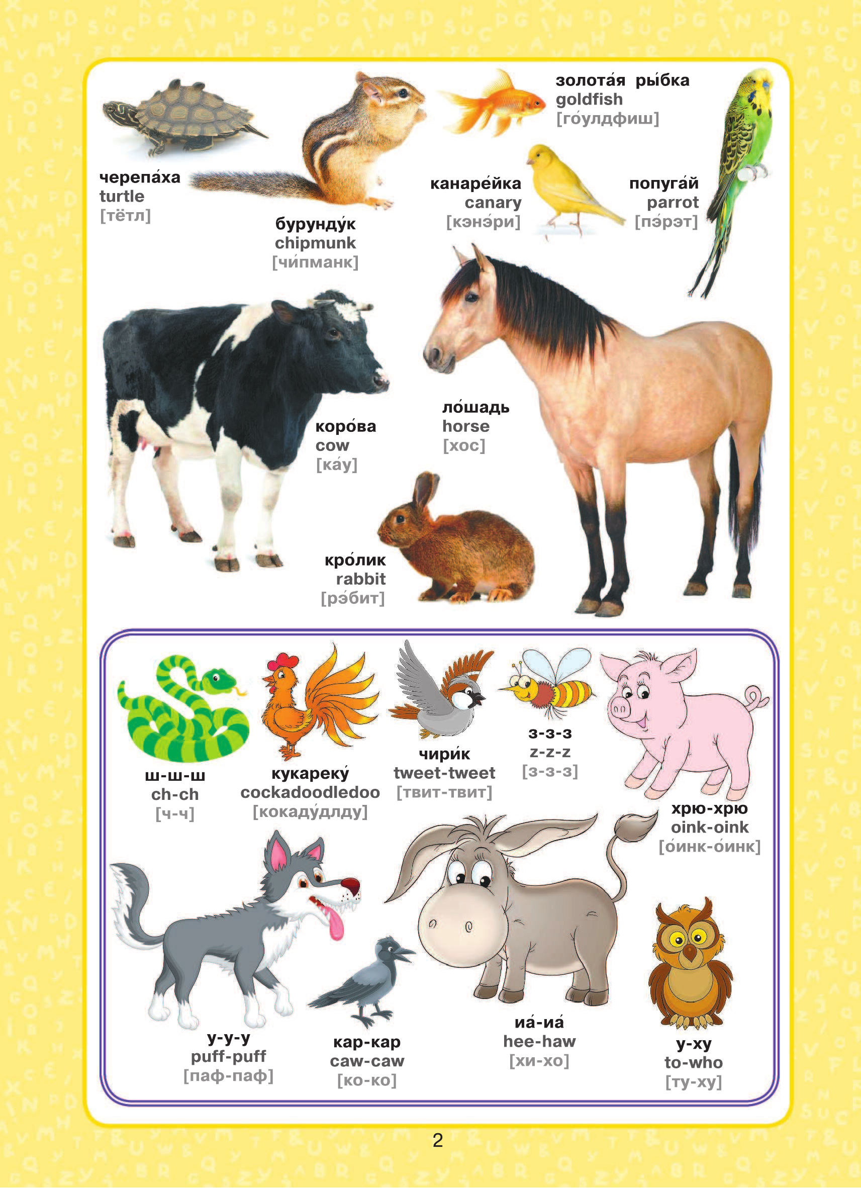  Английский для малышей в картинках - страница 3