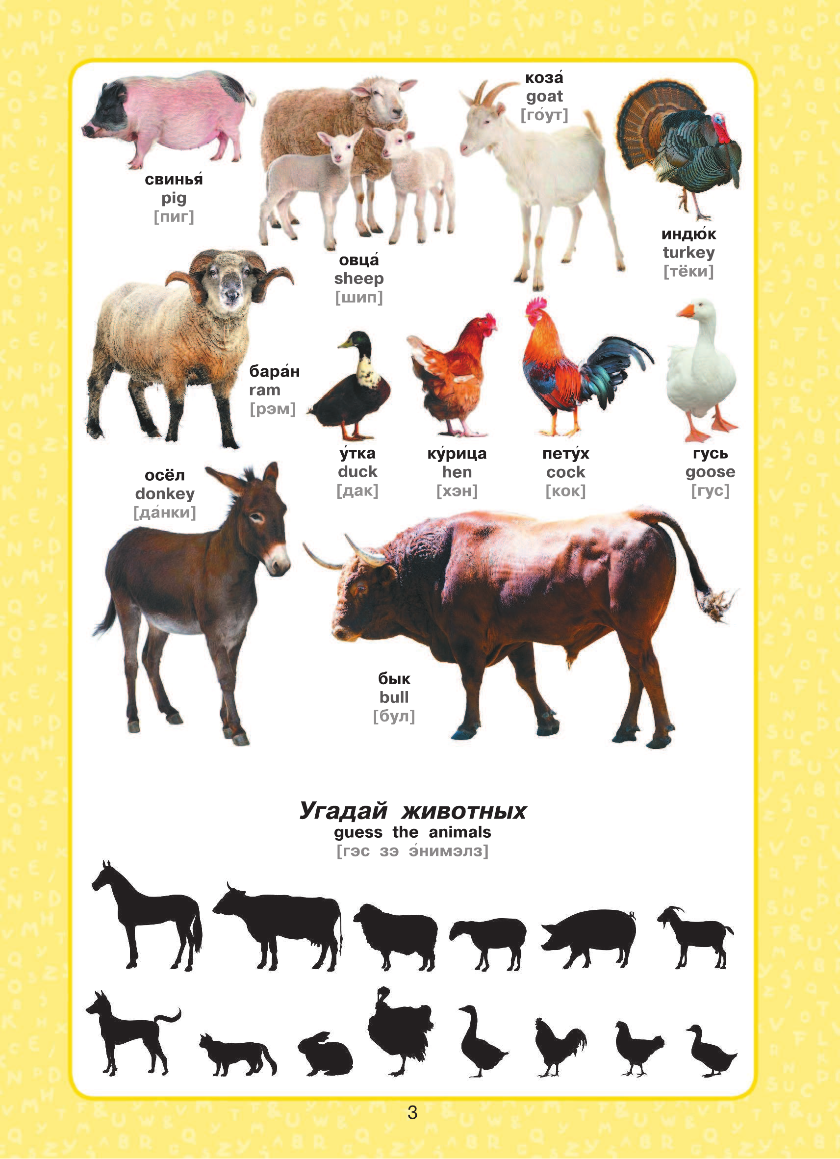  Английский для малышей в картинках - страница 4