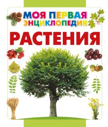 Растения