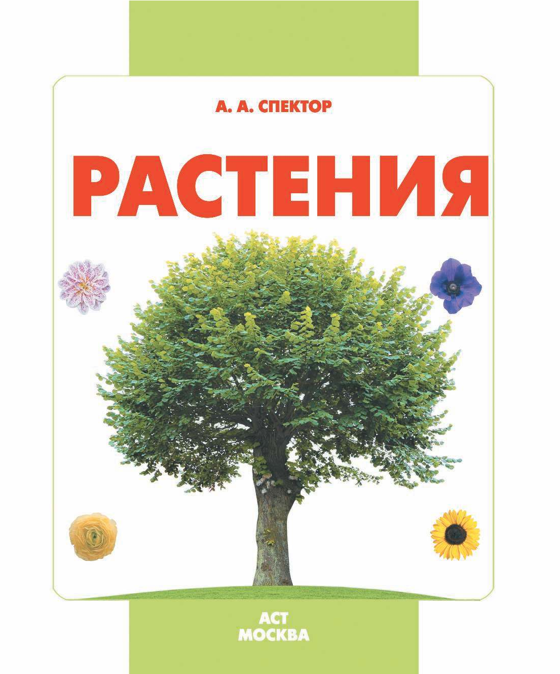  Растения - страница 2