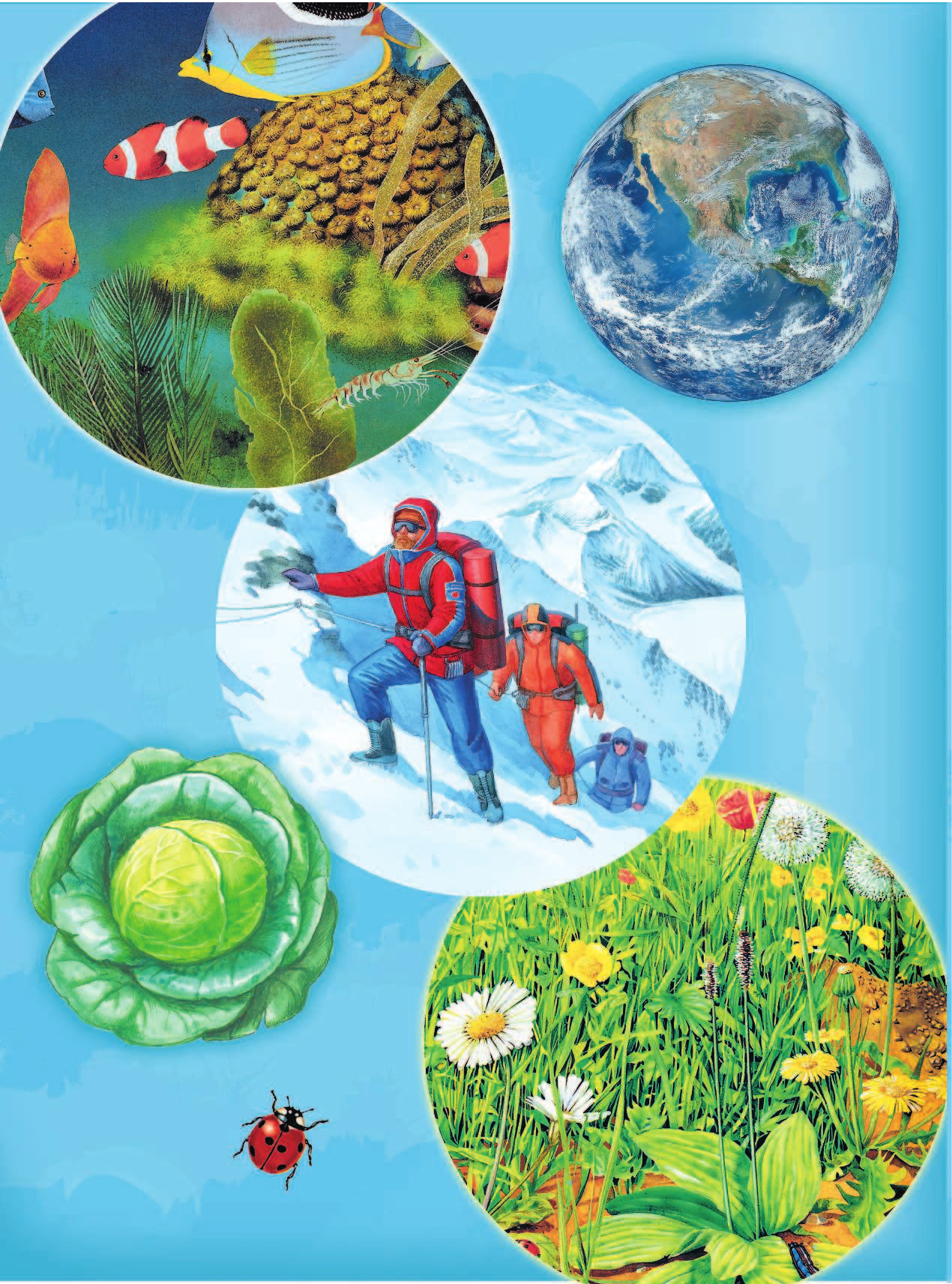  Моя первая детская энциклопедия - страница 3