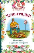 Чудо-грядки: не копаем, а урожай собираем