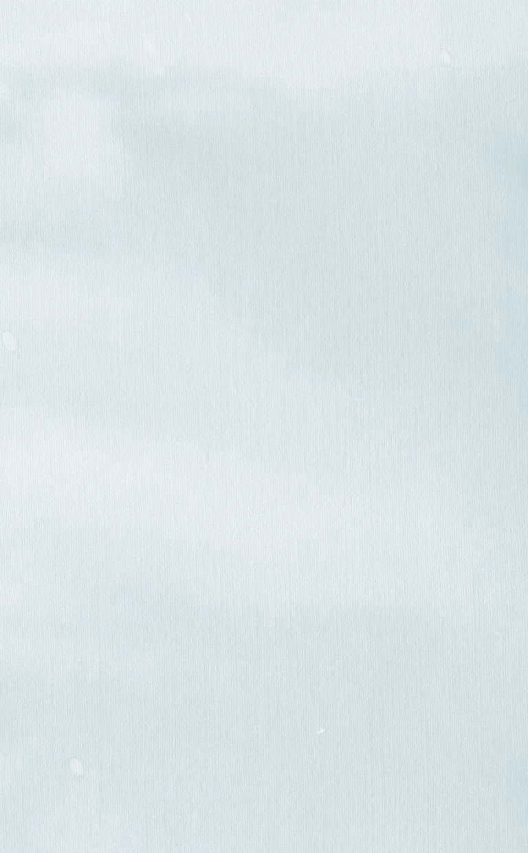 Кирдий Виктория Эрнестовна Путешествие к мечте - страница 4