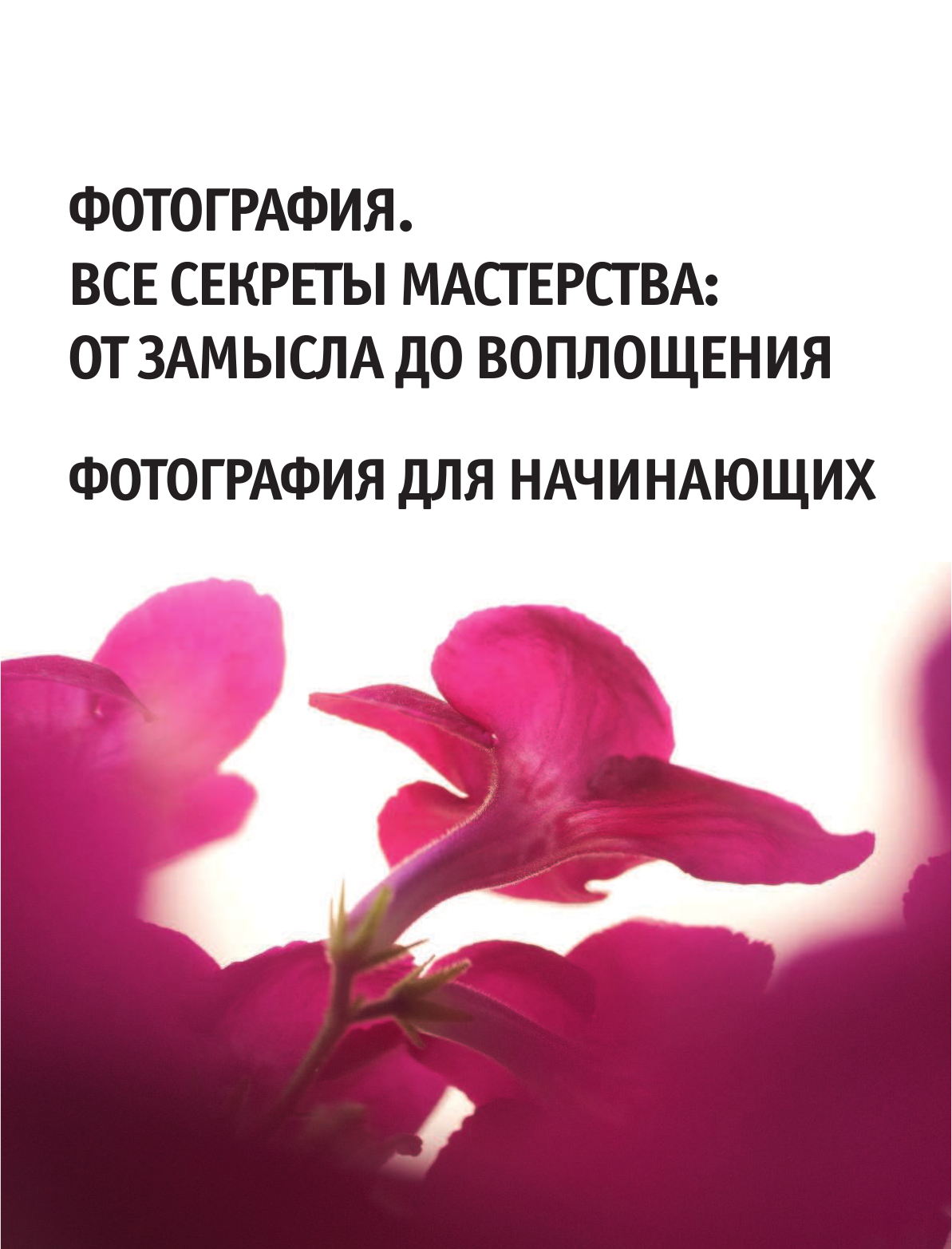  Фотография для начинающих - страница 2