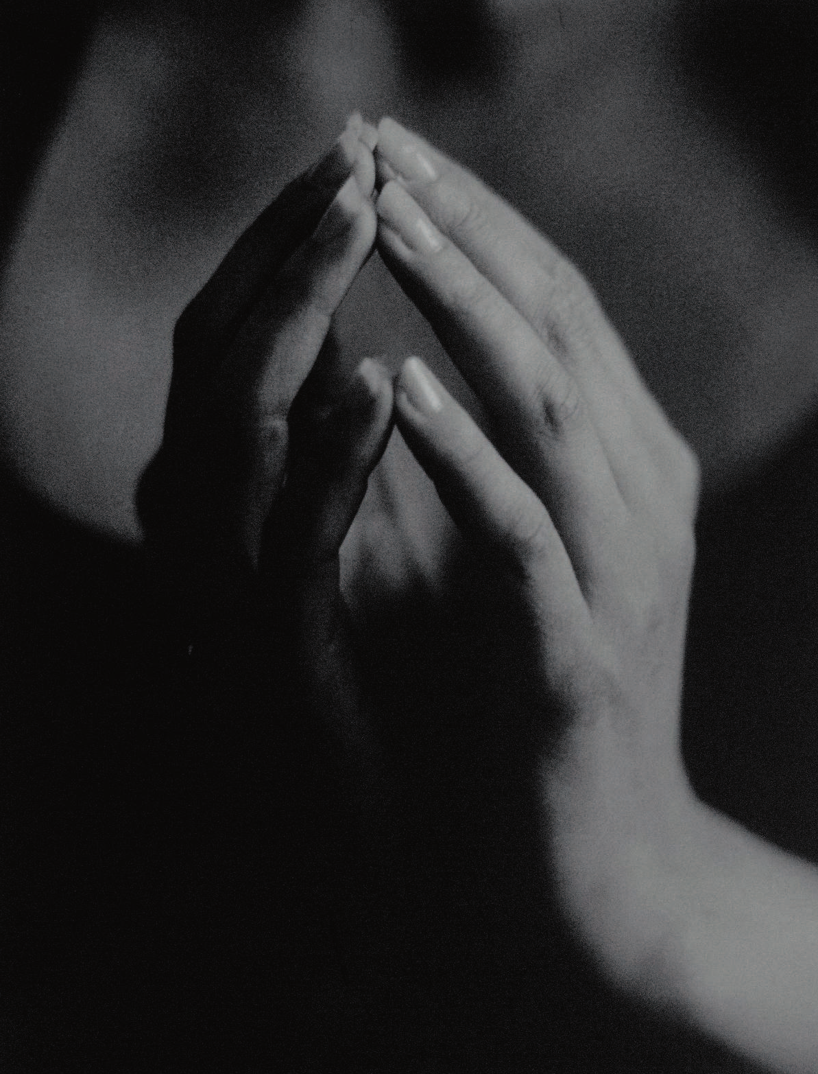  Фотография для начинающих - страница 3