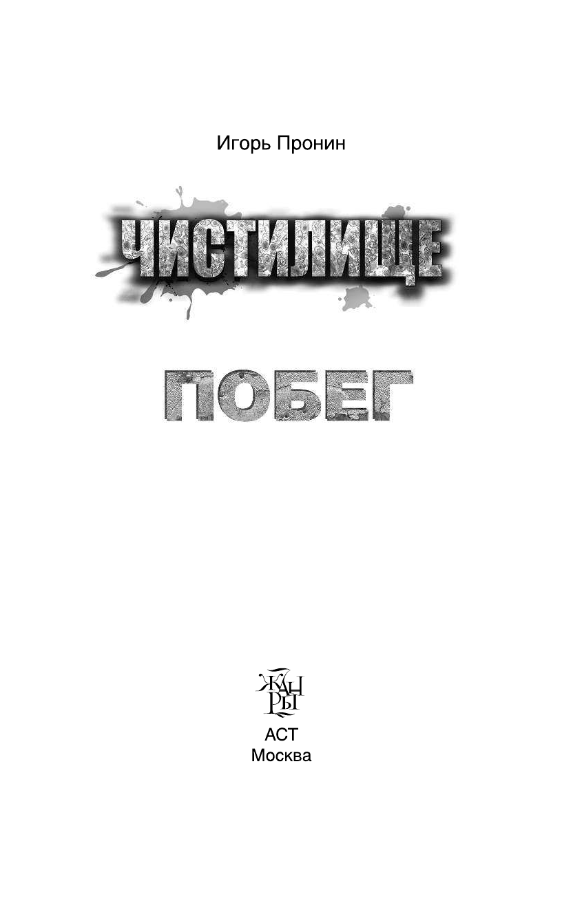 Пронин Игорь Евгеньевич Чистилище. Побег - страница 4