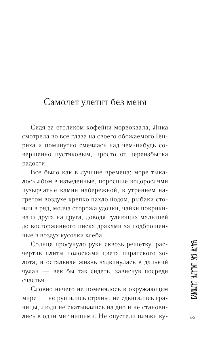 Мжаванадзе Тинатин Хасановна Самолет улетит без меня - страница 4