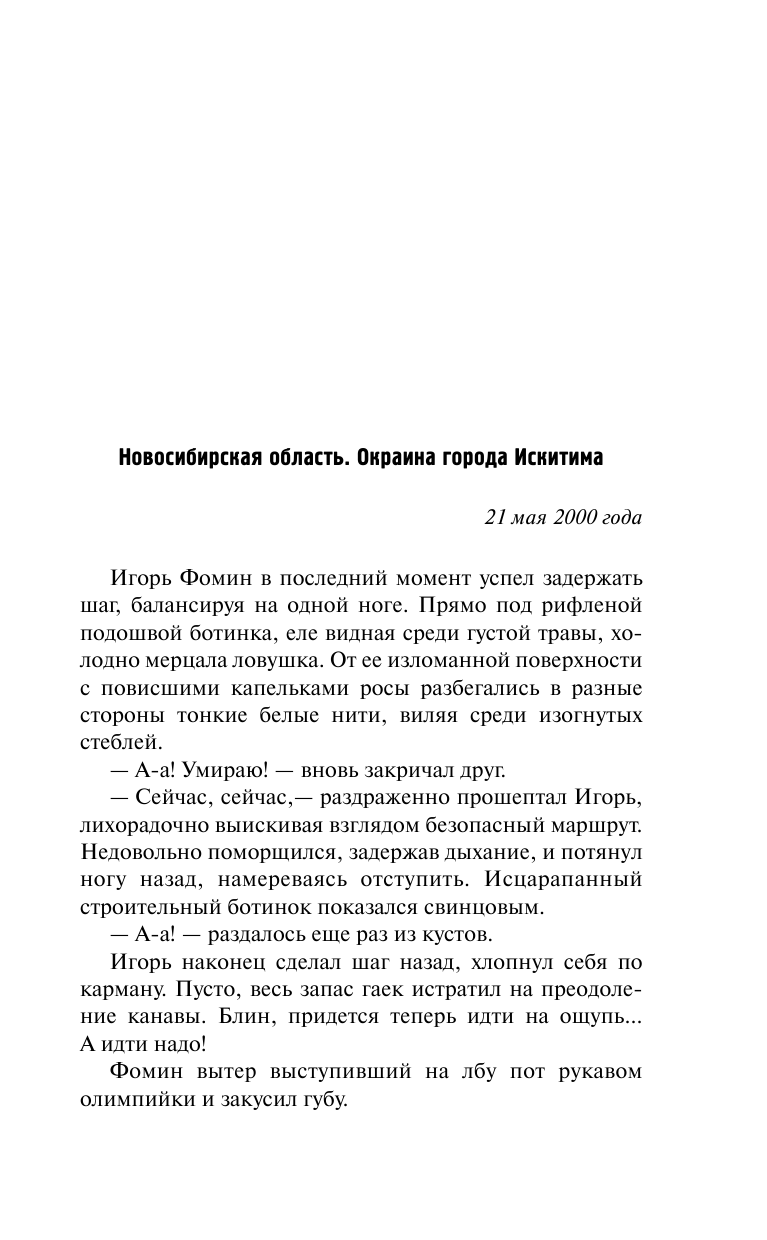 Бурмистров Денис Евгеньевич Пикник на обочине. Черный выход - страница 4