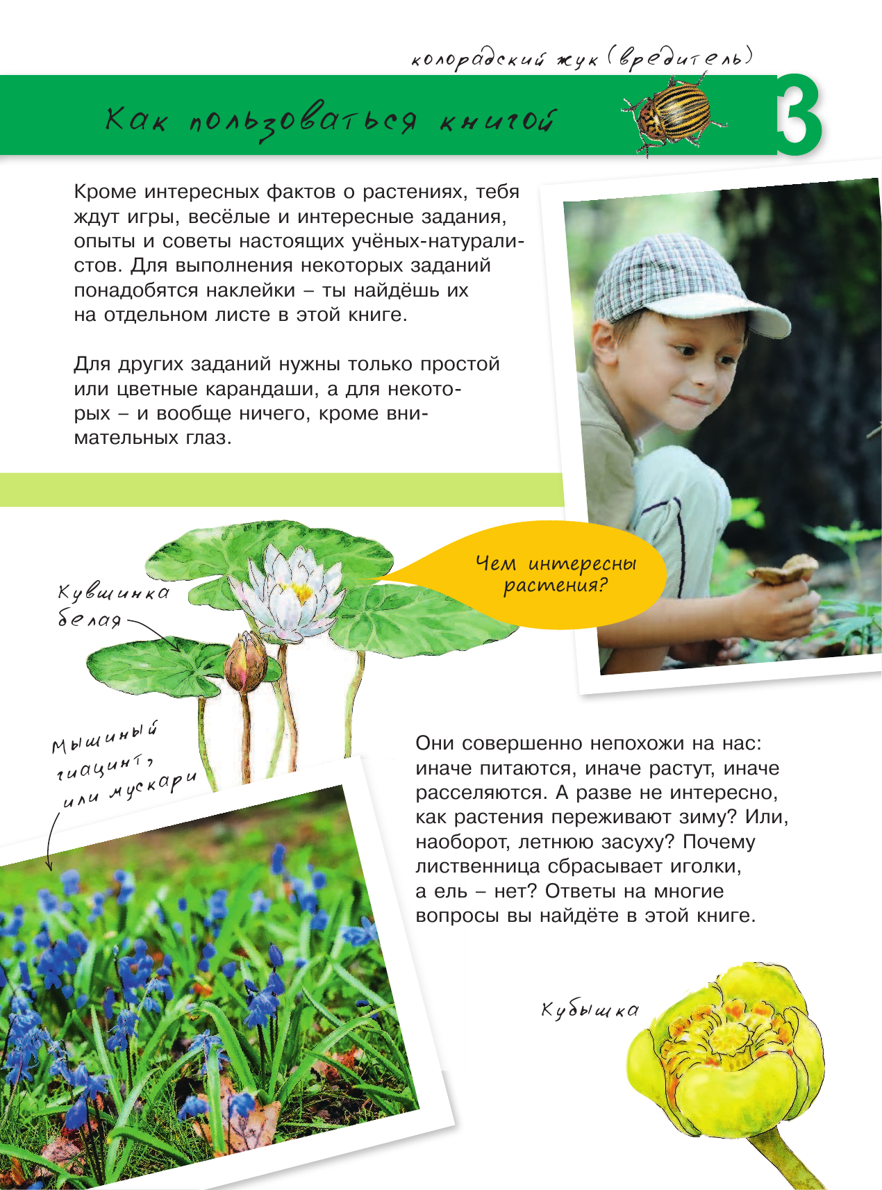  Растения - страница 4