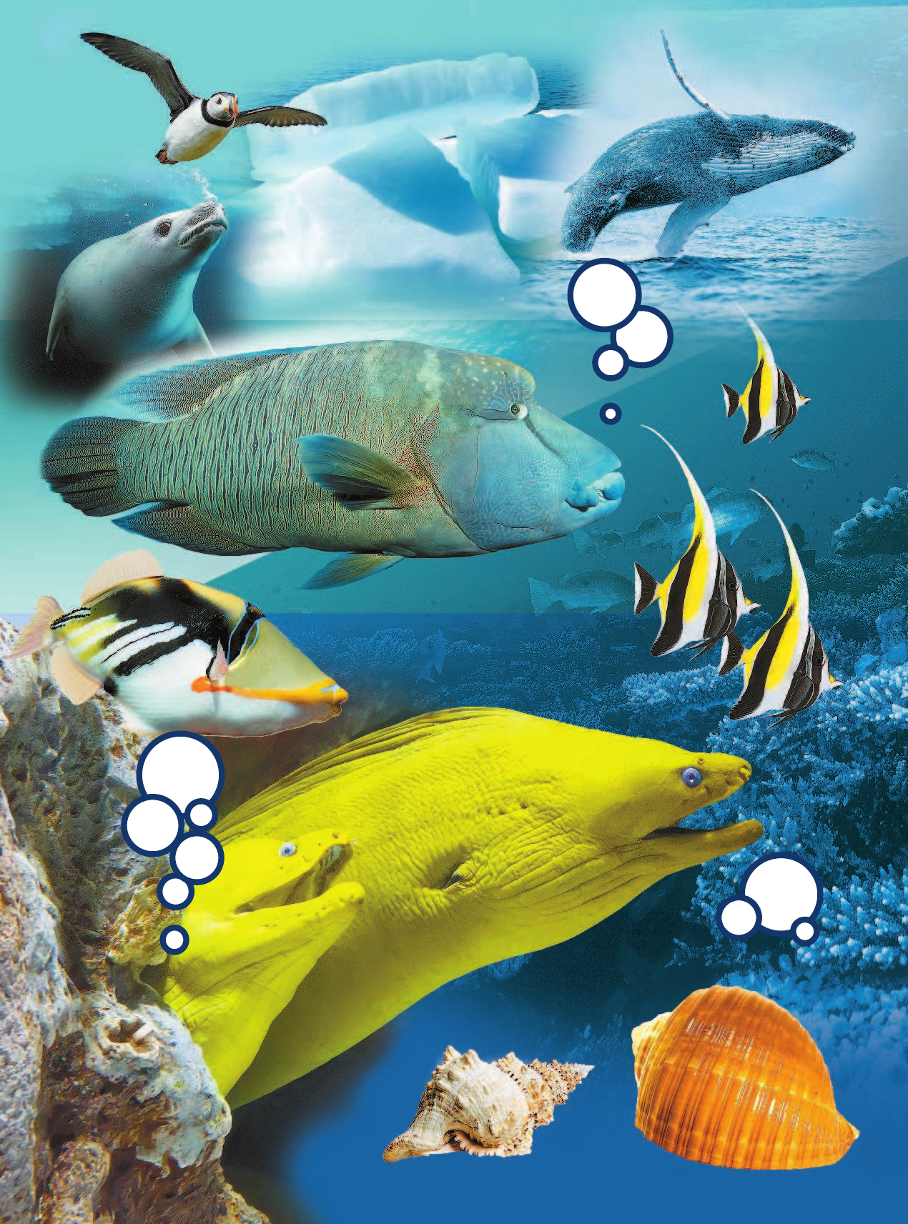 Тихонов Александр Васильевич Жизнь океана - страница 3