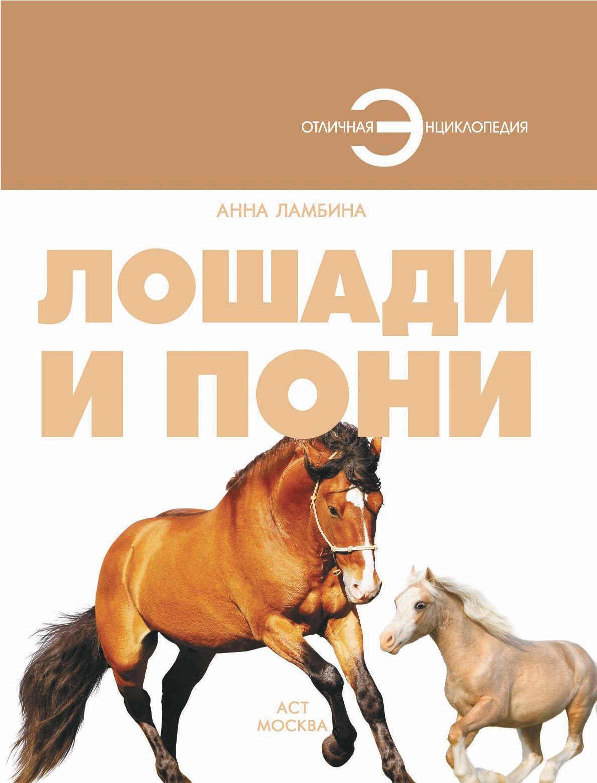  Лошади и пони - страница 2