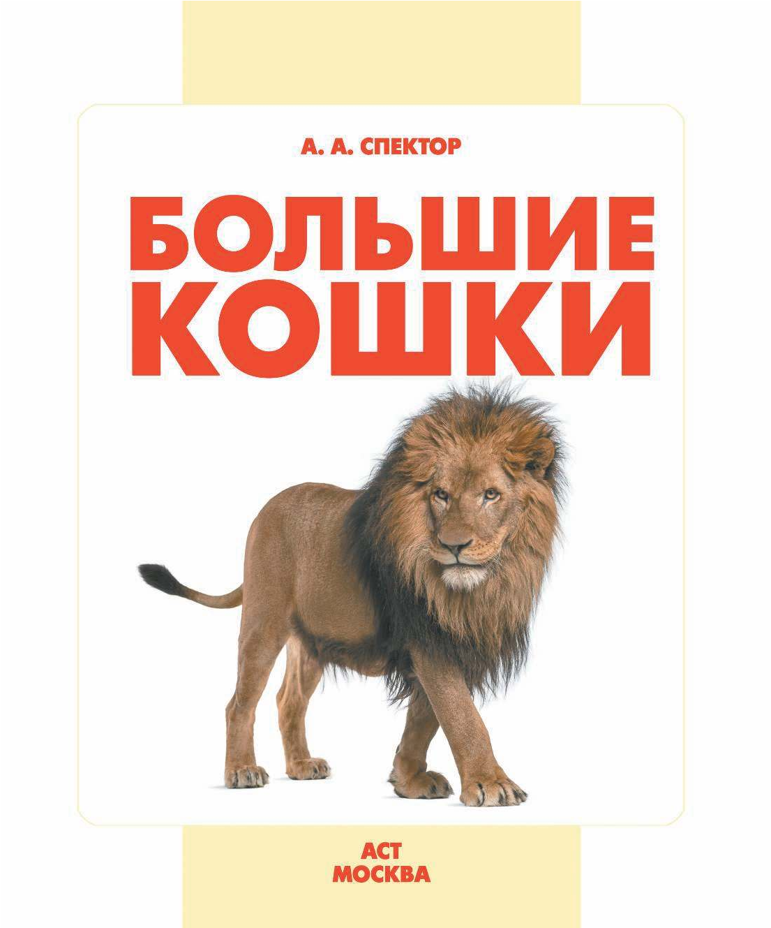  Большие кошки - страница 2