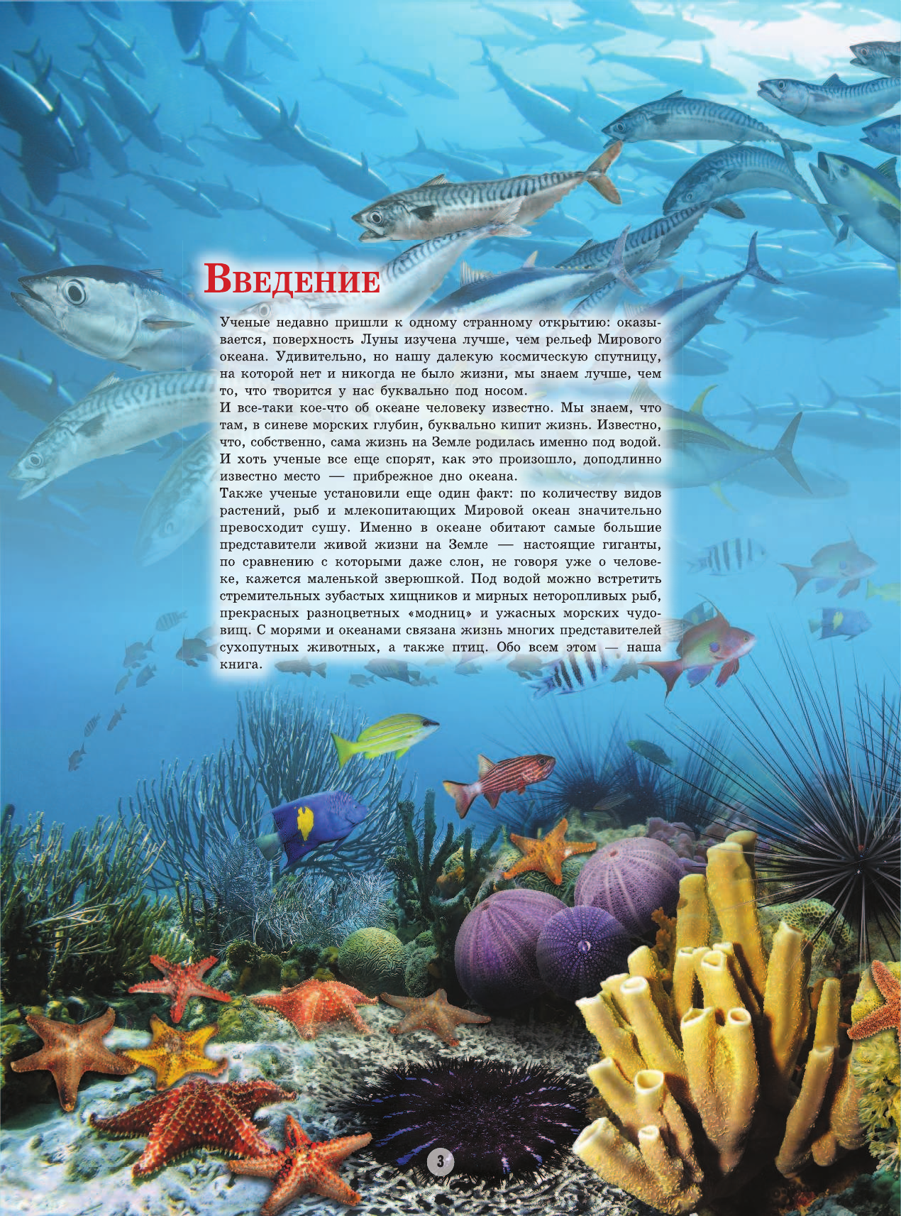 Ликсо Вячеслав Владимирович Подводные обитатели - страница 4