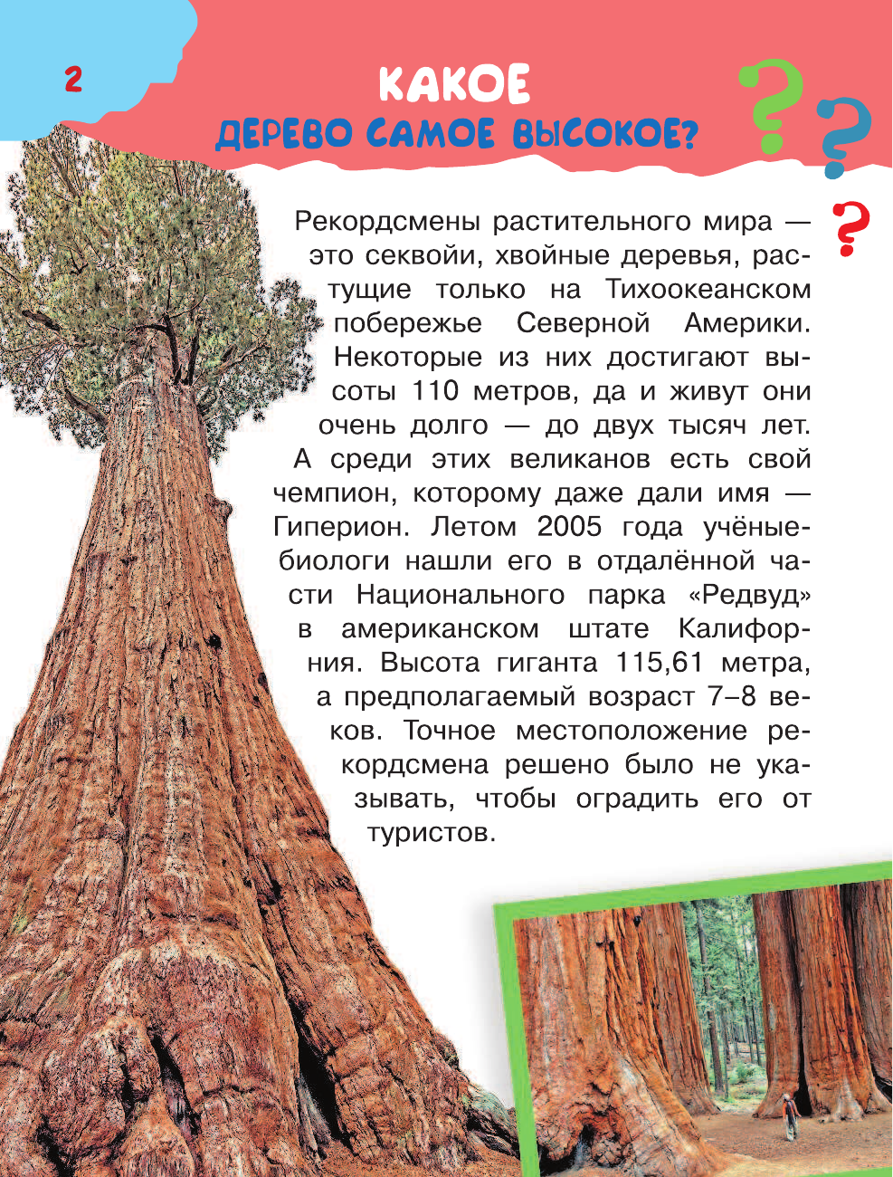 Малов Владимир Игоревич Обо всём на свете - страница 3