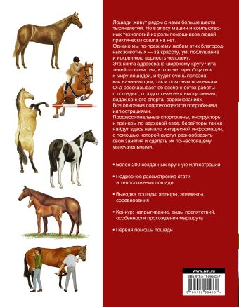 Большая иллюстрированная энциклопедия. Лошади