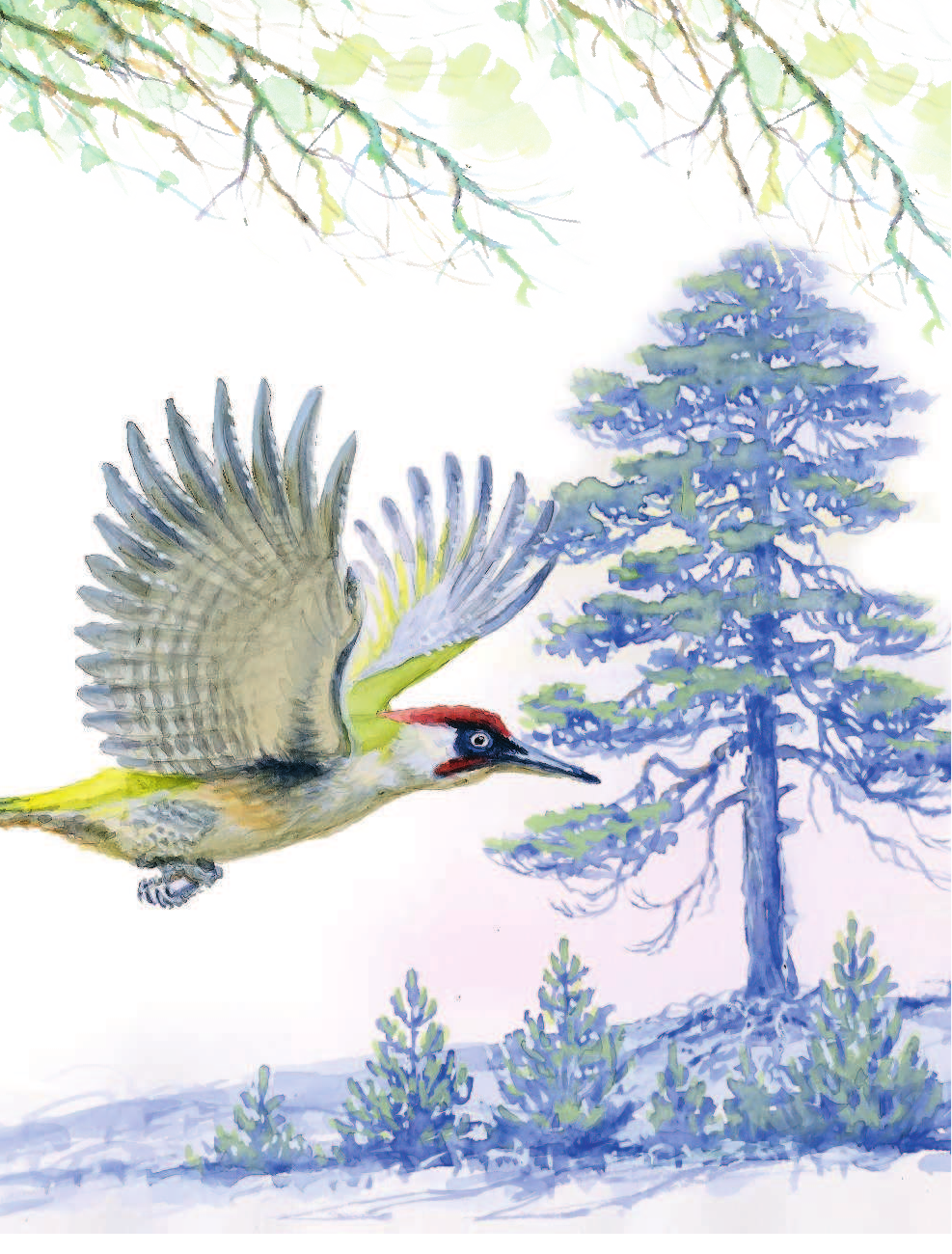 Смирнов Алексей Всеволодович Зачем ёлке иголки? - страница 4