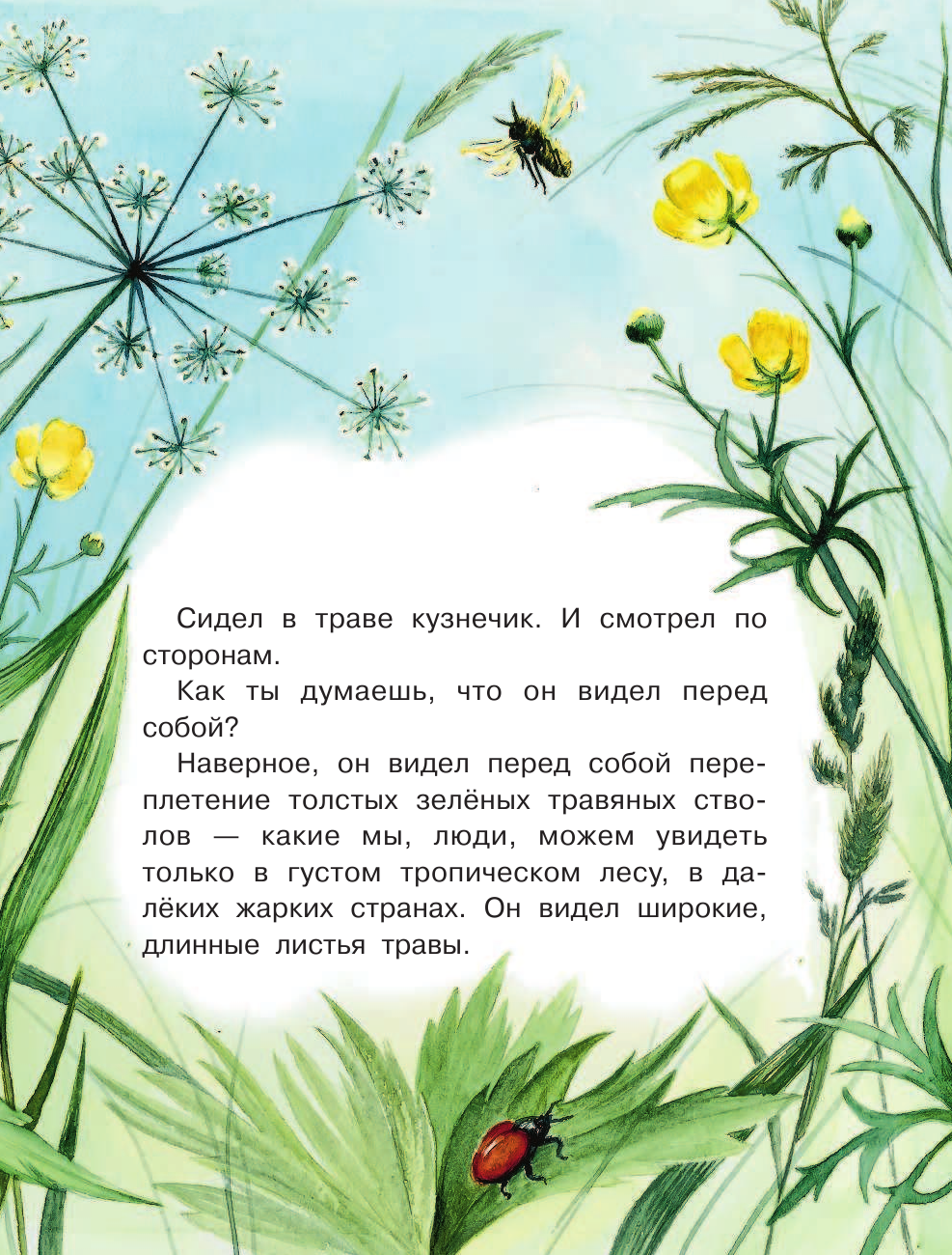 Аракчеева Екатерина Валерьевна Сидел в траве кузнечик - страница 4