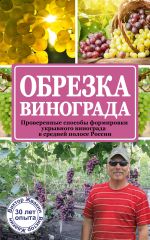 Обрезка винограда. Проверенные способы формировки укрывного винограда в средней полосе России