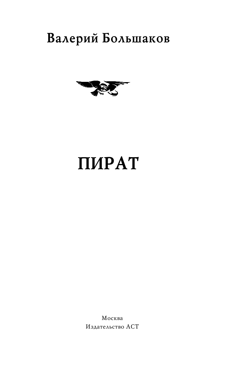 Большаков Валерий Петрович Пират - страница 2