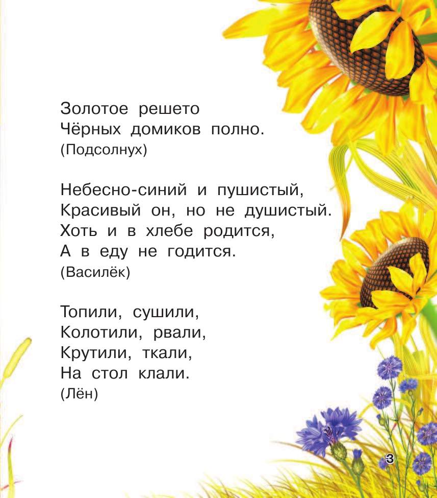 Дмитриева Валентина Геннадьевна, Емельянова Татьяна Александровна Книга загадок - страница 3