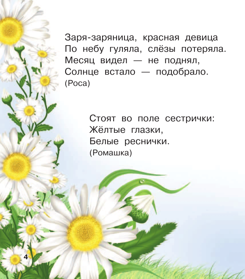 Дмитриева Валентина Геннадьевна, Емельянова Татьяна Александровна Книга загадок - страница 4
