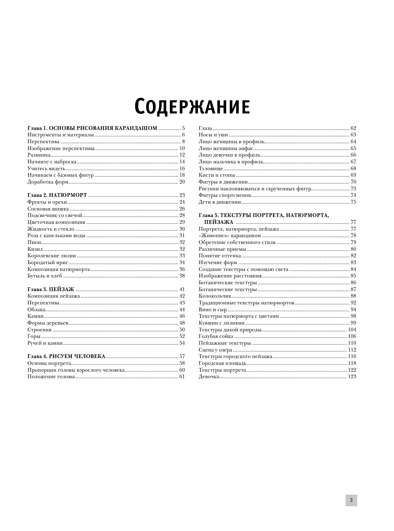  Рисуем карандашом портреты, натюрморты, пейзажи - страница 3