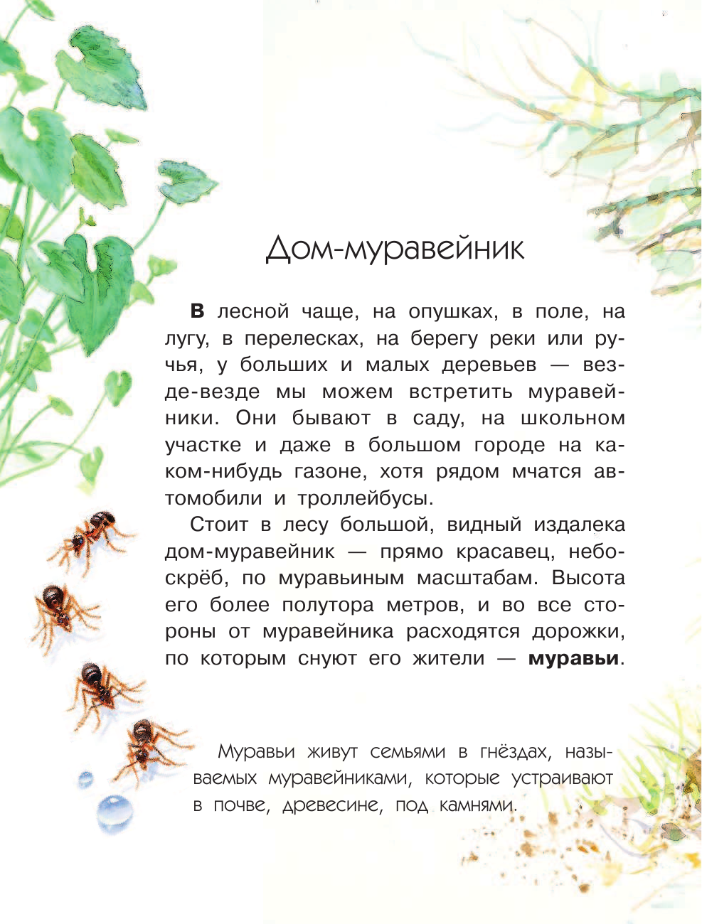 Тамбиев Александр Хапачиевич Кто в муравейнике живет? - страница 3