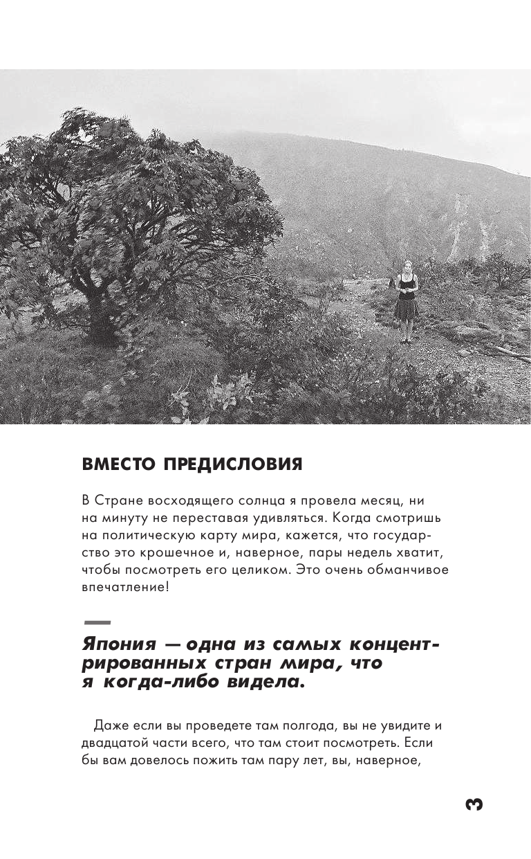 Веселова Маша  Будни гайдзина в Японии - страница 4