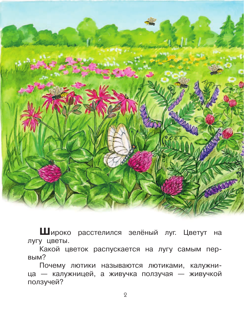 Агальцов Анатолий Сергеевич Почему кукушка слёзки льёт? - страница 3