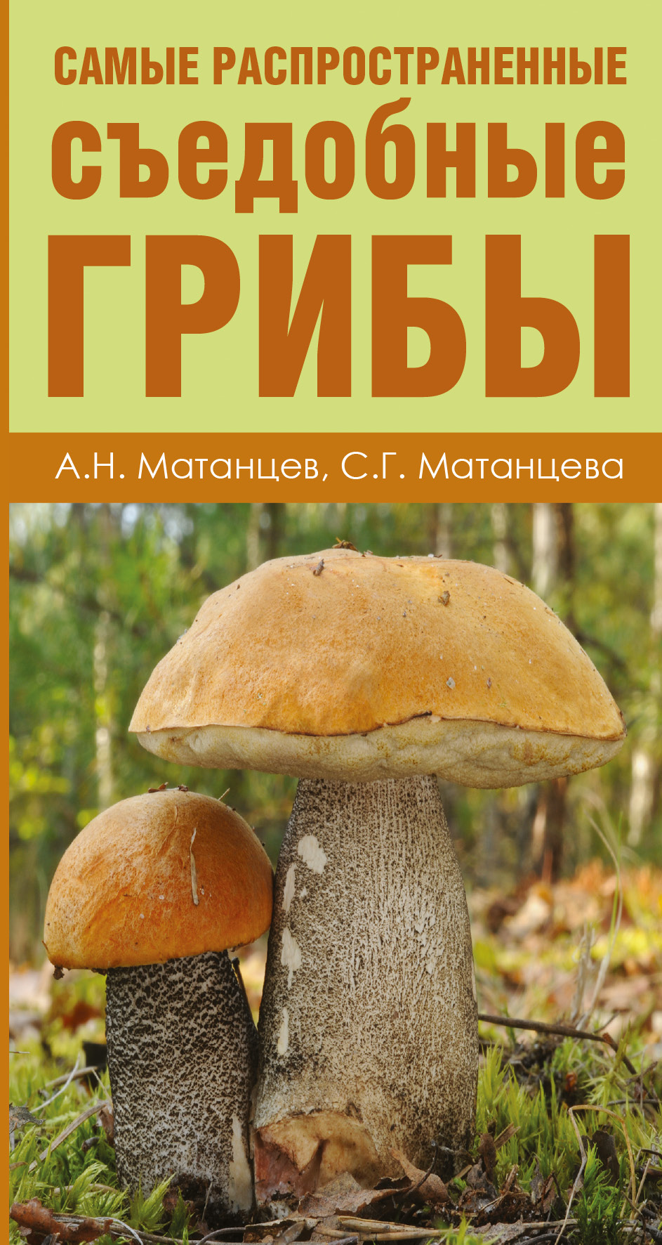 Матанцев Александр Николаевич, Матанцева С. Г. Самые распространенные съедобные грибы - страница 0