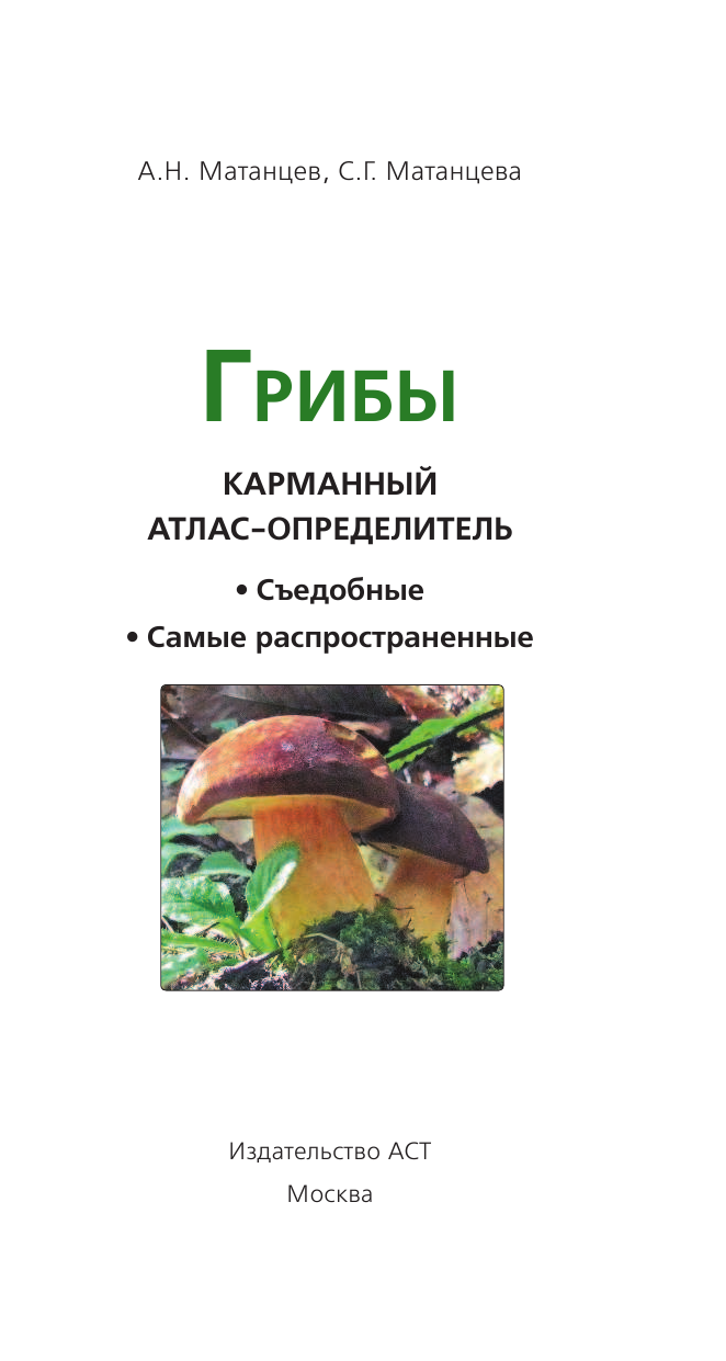 Матанцев Александр Николаевич, Матанцева С. Г. Грибы. Карманный атлас-определитель - страница 2