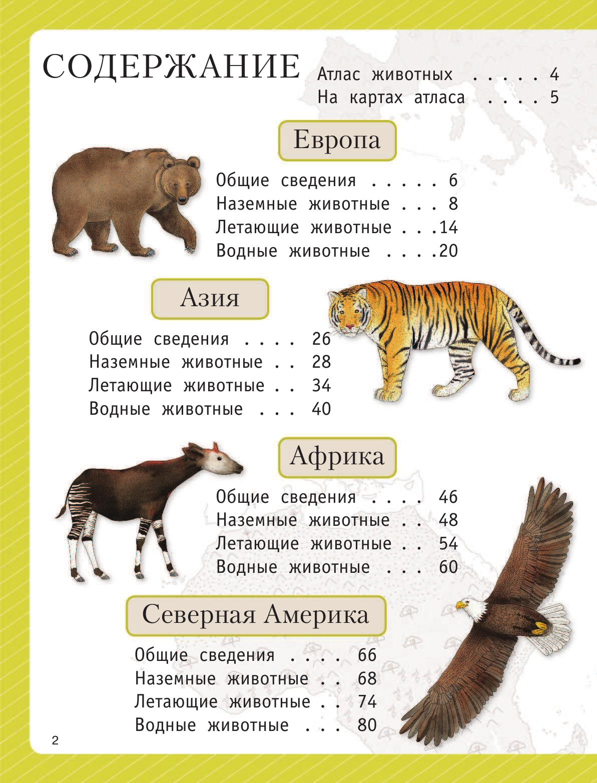  Атлас животных для малышей - страница 3