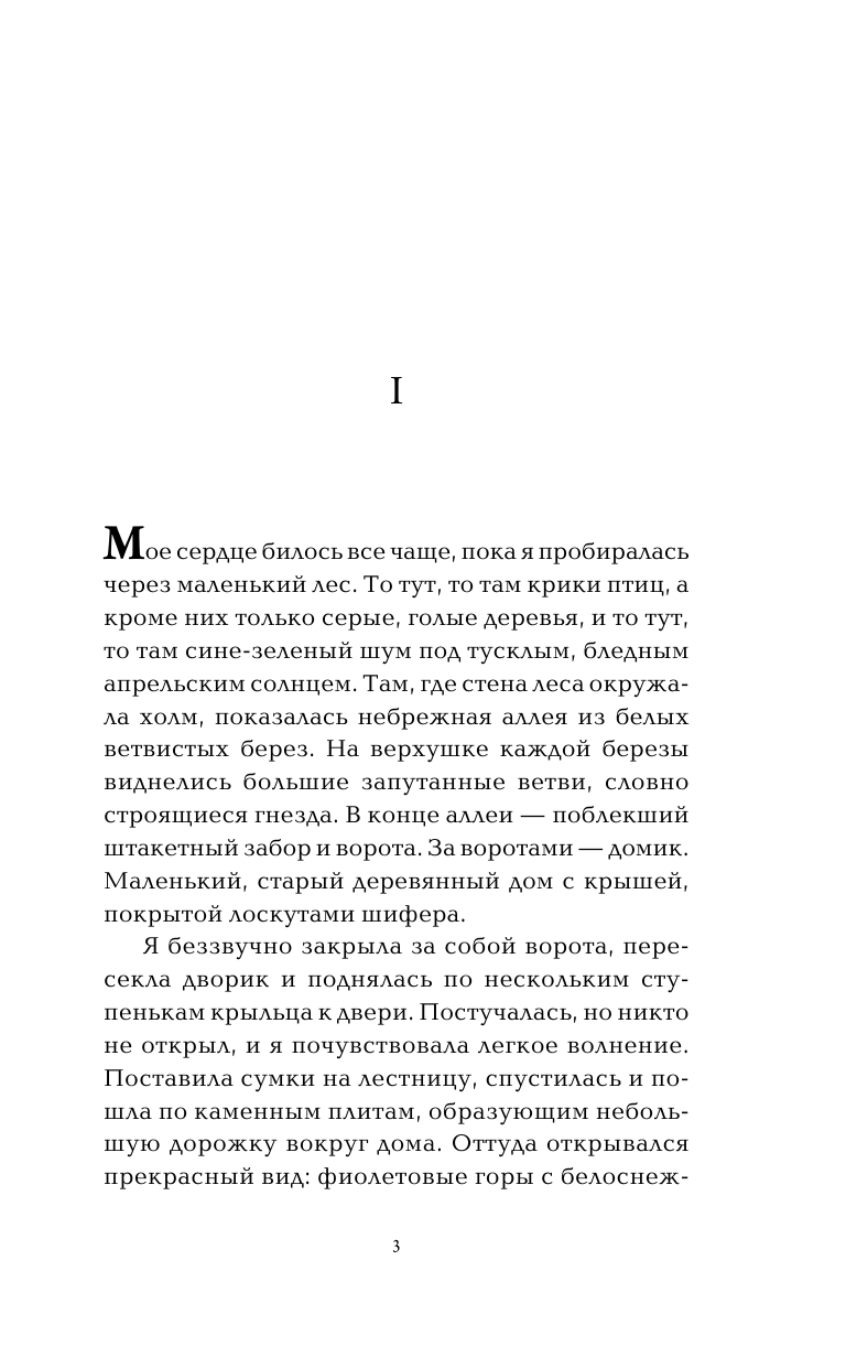 Раватн Агнес Птичий суд - страница 4