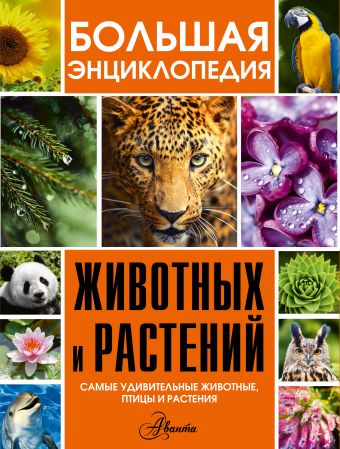 Большая энциклопедия животных и растений