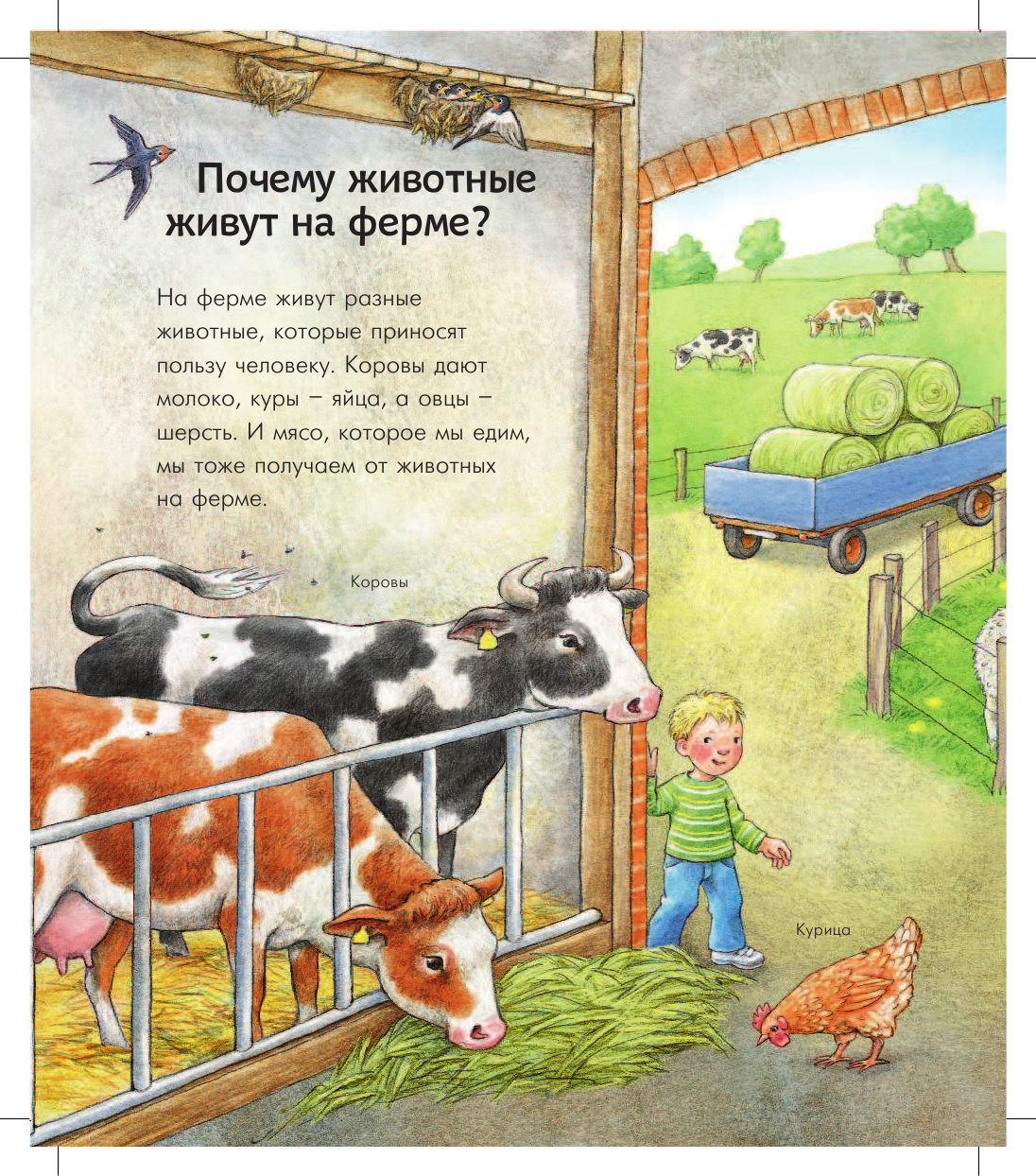 Мюллер Энн Мир животных - страница 2