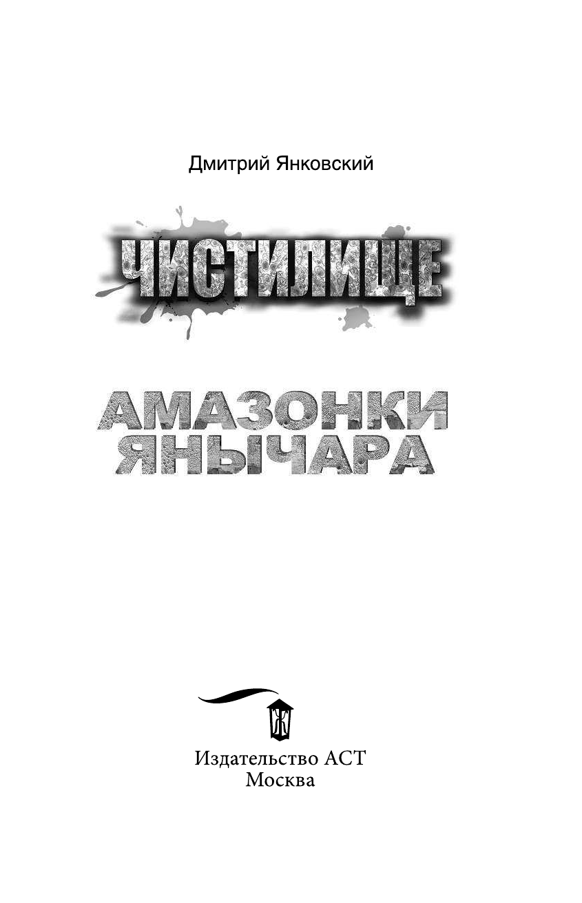 Янковский Дмитрий Валентинович Чистилище. Амазонки Янычара - страница 4