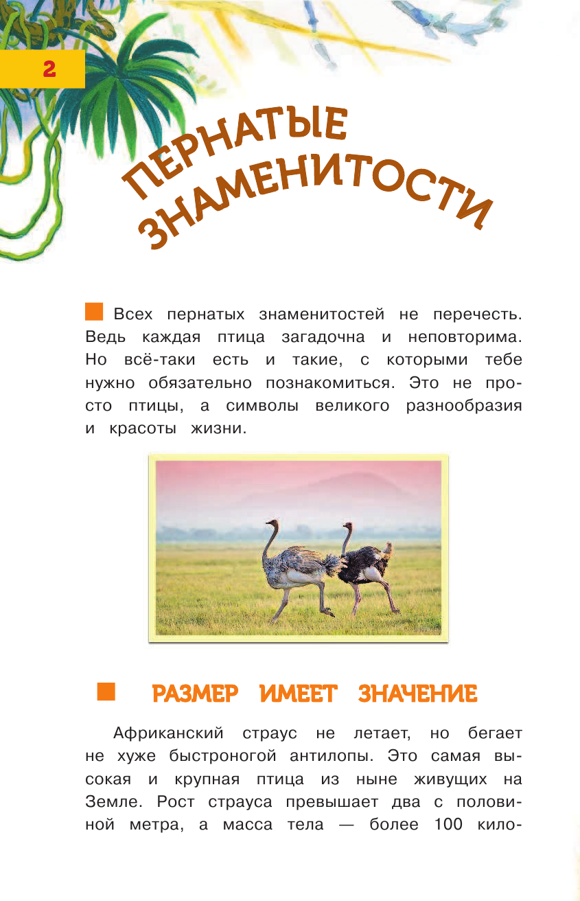 Тихонов Александр Васильевич Такие разные птицы - страница 3