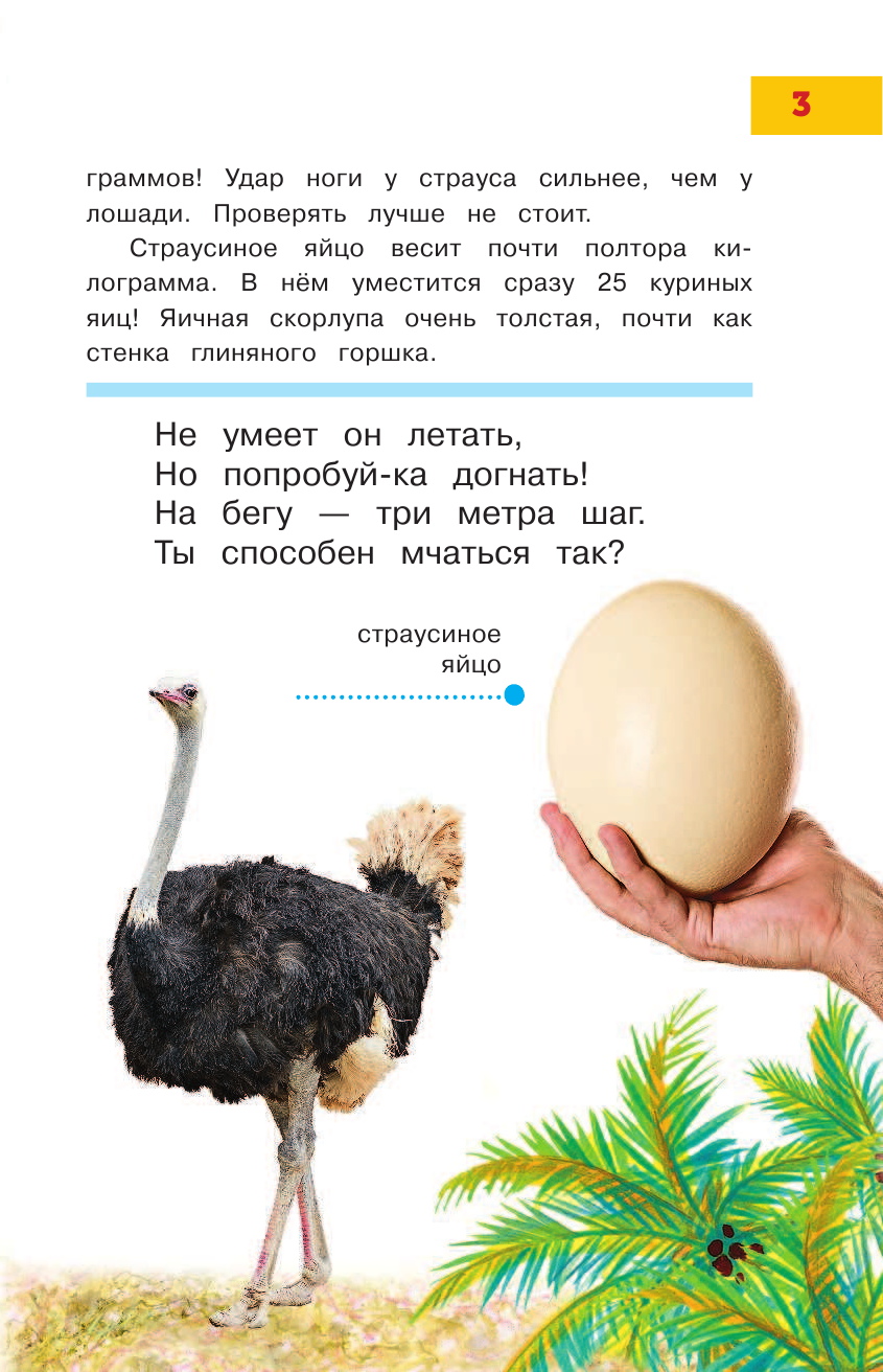 Тихонов Александр Васильевич Такие разные птицы - страница 4