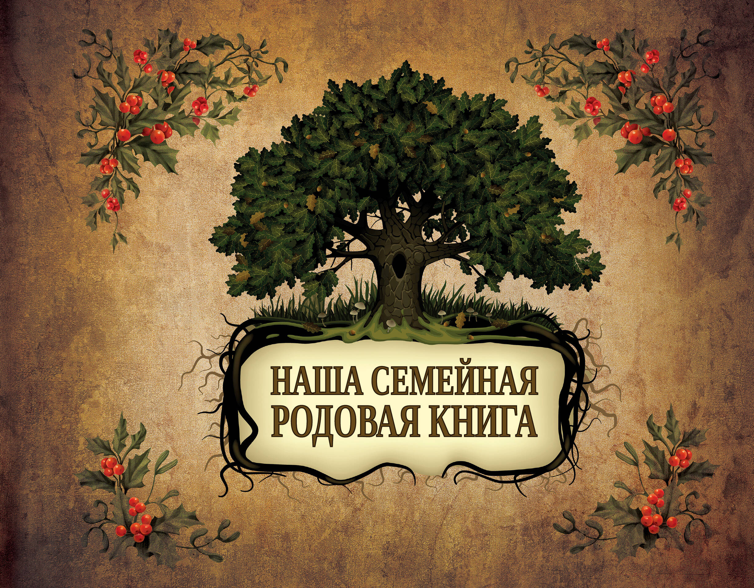  Наша семейная родовая книга - страница 0