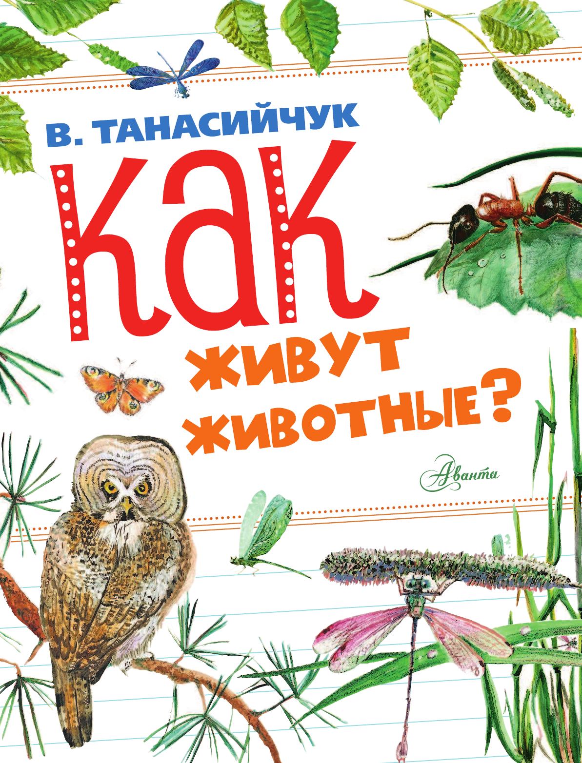 Танасийчук Виталий Николаевич Как живут животные? - страница 2