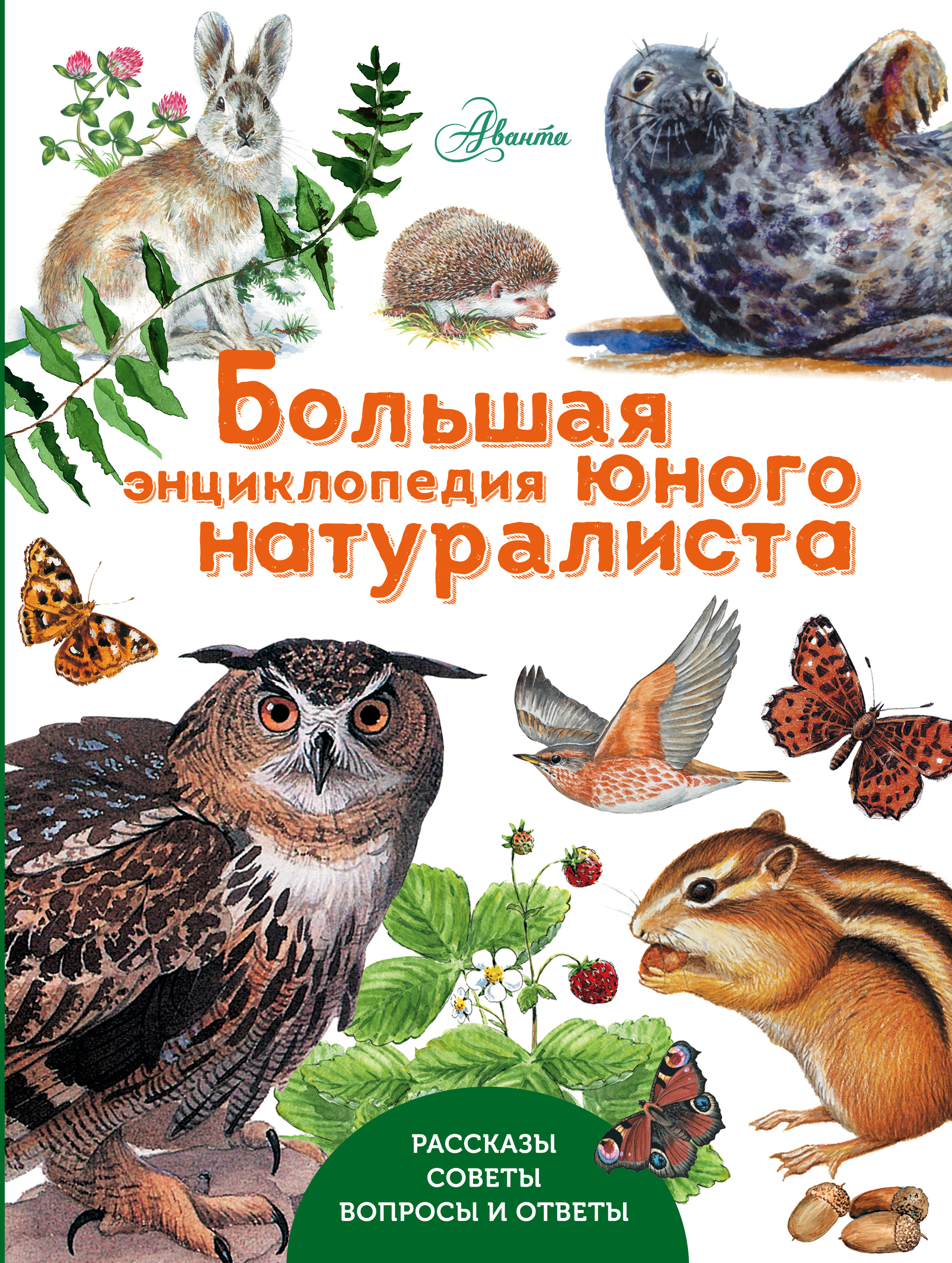  Большая энциклопедия юного натуралиста - страница 0