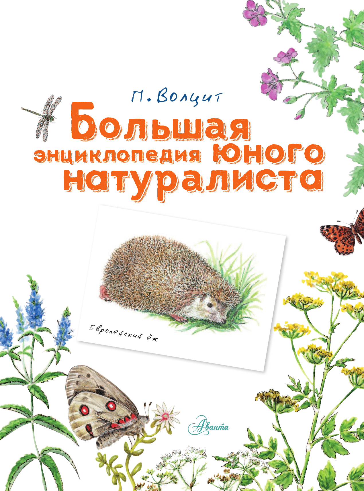  Большая энциклопедия юного натуралиста - страница 2