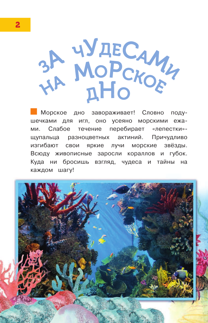 Тихонов Александр Васильевич Подводное царство - страница 3