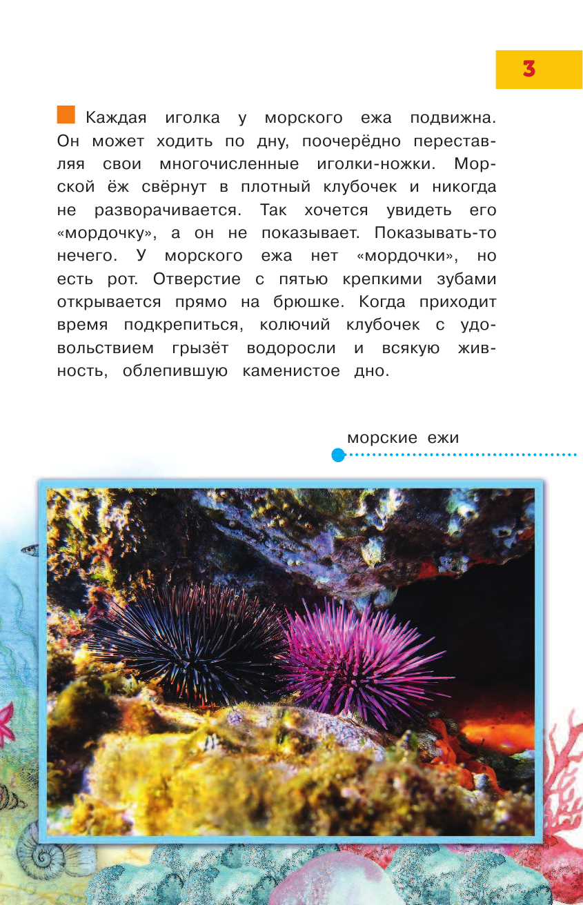 Тихонов Александр Васильевич Подводное царство - страница 4